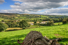 Dartmoor, England, UK