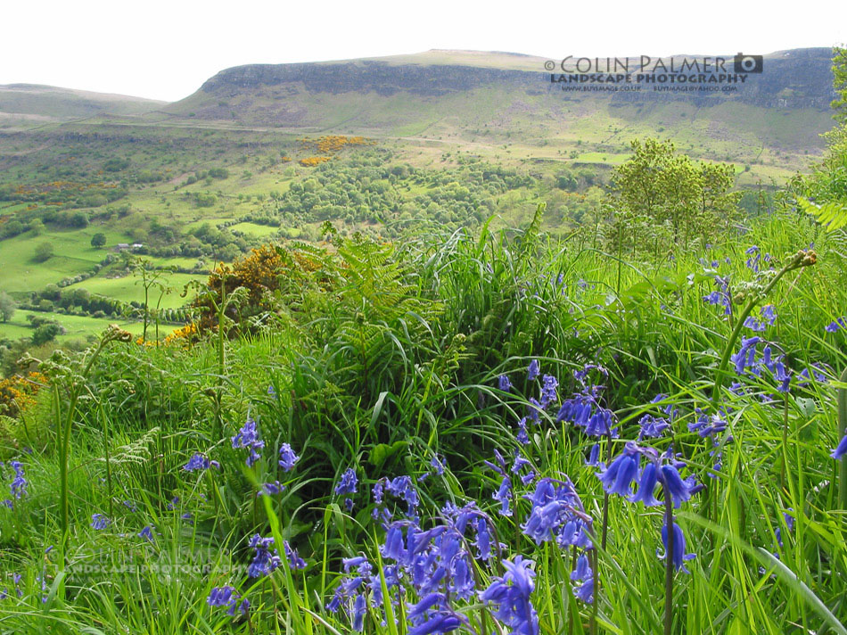 500_ireland landscape stock photo copyright colin palmer