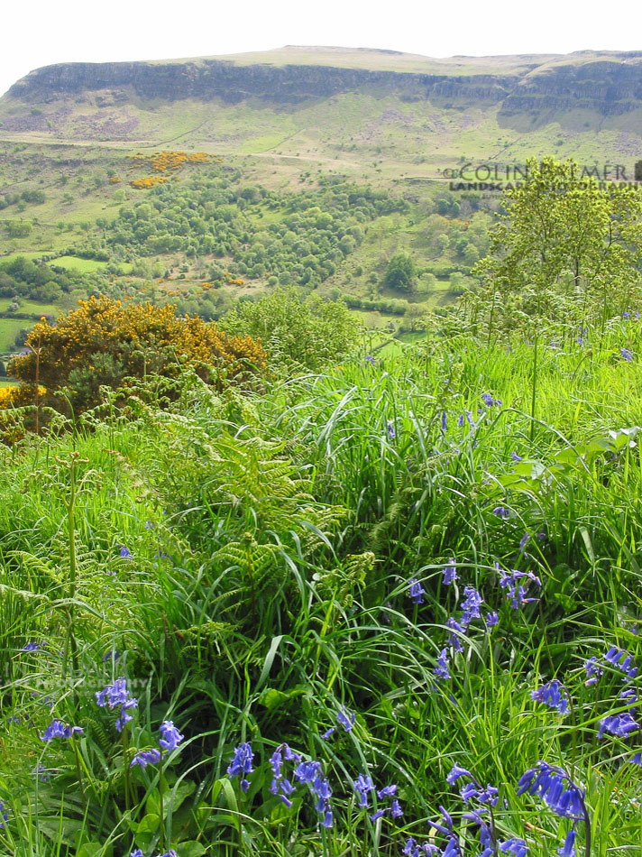 501_ireland landscape stock photo copyright colin palmer