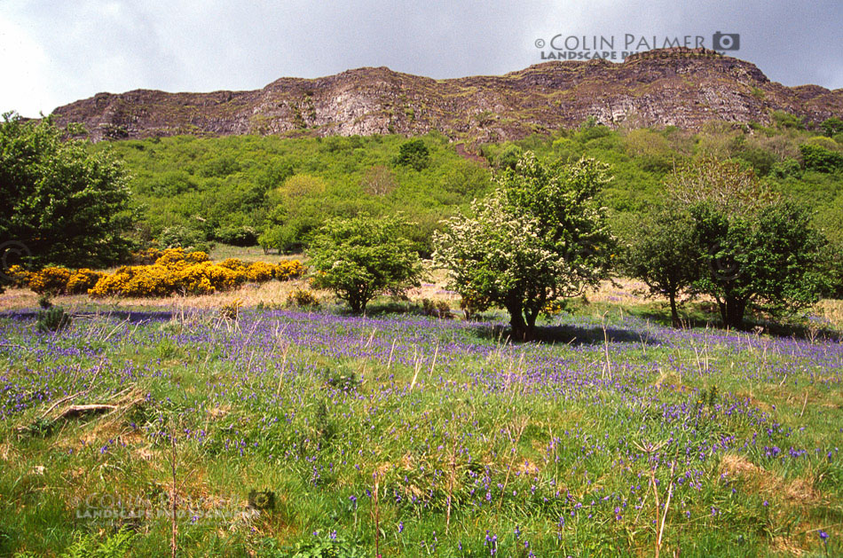 687_ireland landscape stock photo copyright colin palmer