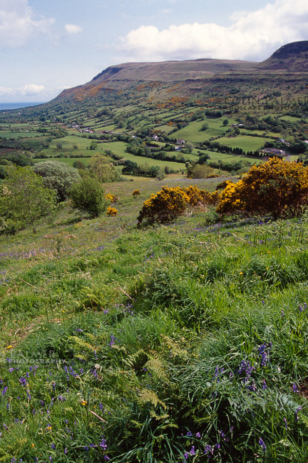 693_ireland landscape stock photo copyright colin palmer