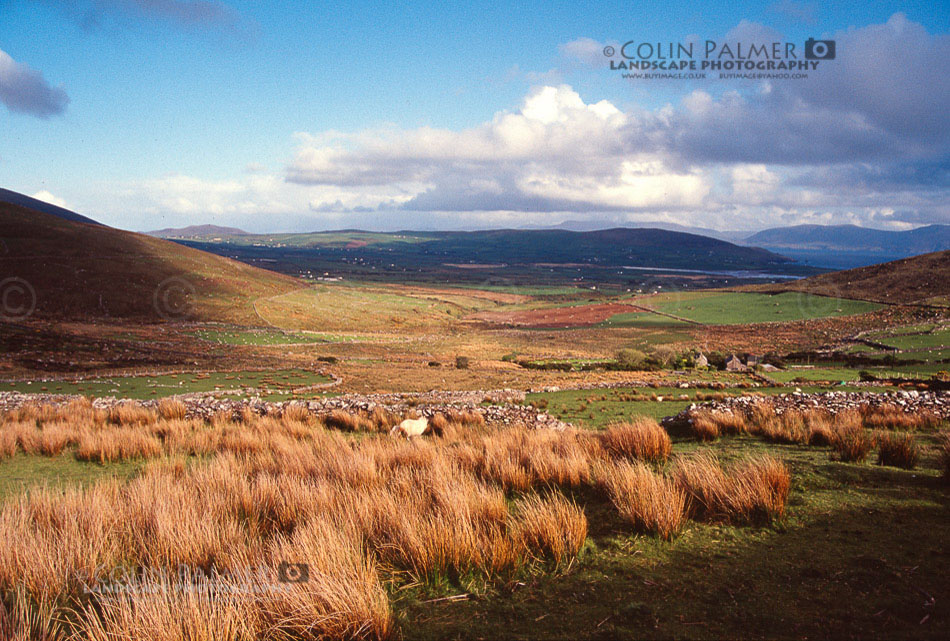 359_ireland landscape stock photo copyright colin palmer