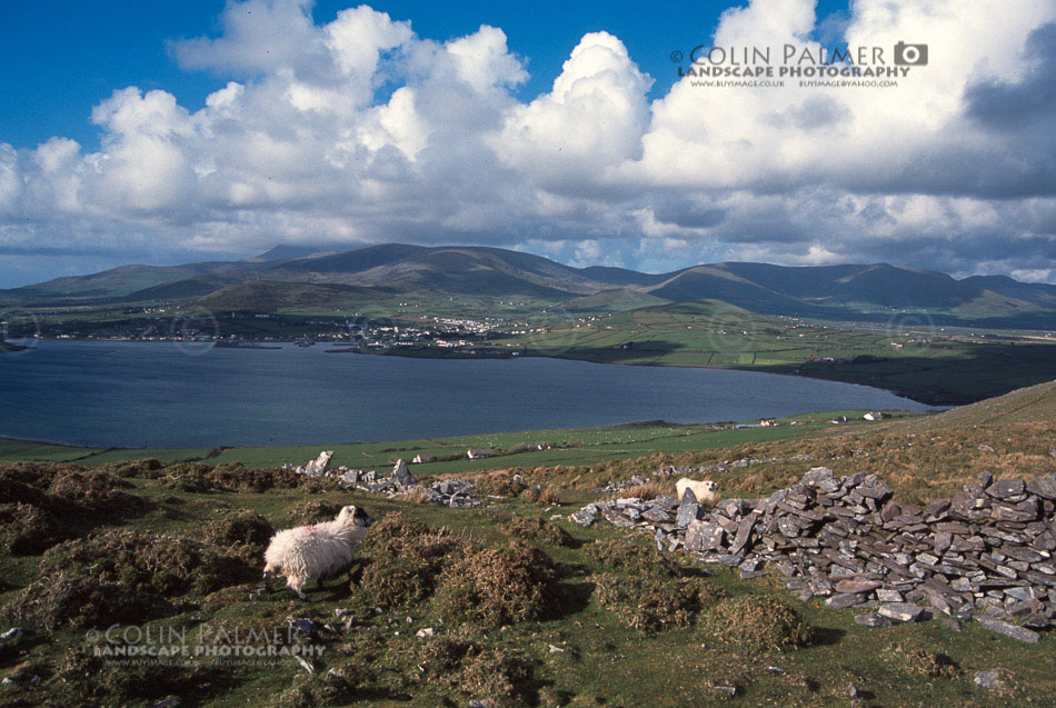 379_ireland landscape stock photo copyright colin palmer