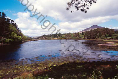 223_ireland landscape stock photo copyright colin palmer