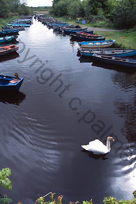 259_ireland landscape stock photo copyright colin palmer