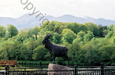 28_ireland landscape stock photo copyright colin palmer