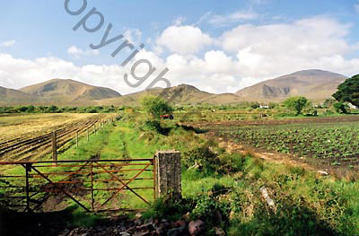 33_ireland landscape stock photo copyright colin palmer