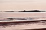 6.Farne island inner sound northumberland coast