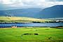 stromnes golf course