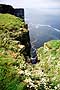 marwick head
