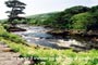 falls of dochart 