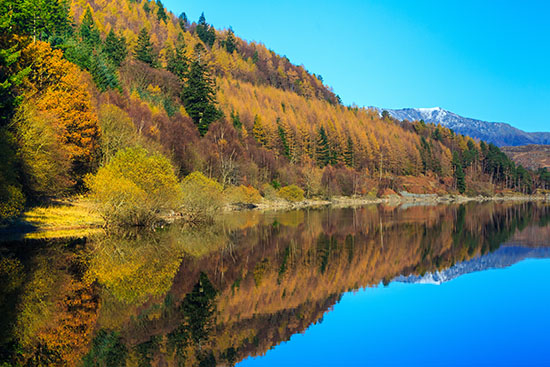 Title : Lake Thirlmere Cumbria Autumn Colours