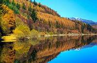 autumn-colours-lake-thirlmere-cumbria-lake-district
